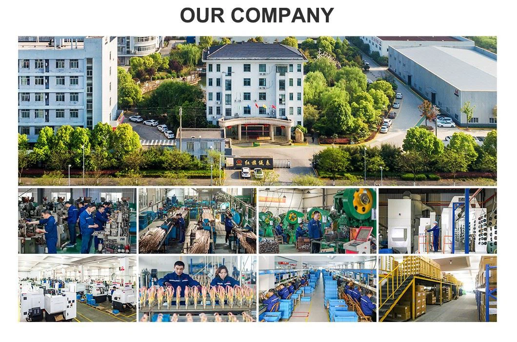 hongqi instrument(3)