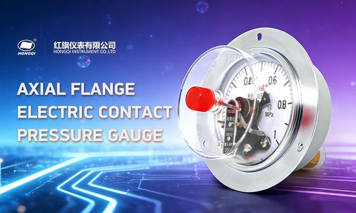 axial-flange-electric-contact-pressure-gauge--2 axial-flange-electric-contact-pressure-gauge--2