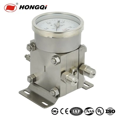 Industrial Corrosion-Resistant Stainless Steel Diaphragm Differential Pressure Gauge
