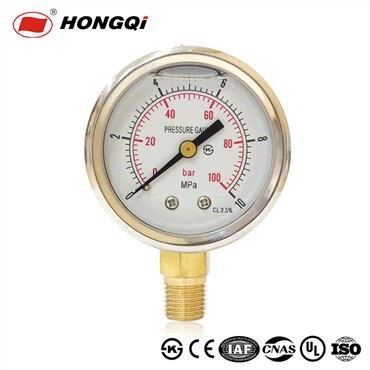 Bourdon Style Pointer Display Pressure Gauge