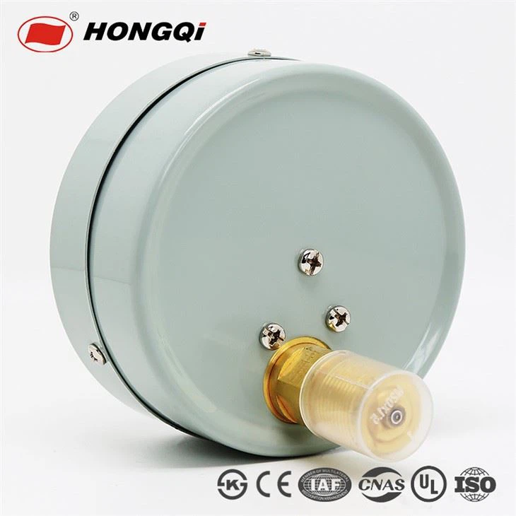 Cheap Economical Lower Mount/Back Mount /Flanged Steel Case Pressure Gauge made in China 1/4'' NPT,G1/4'',ZG1/4''
