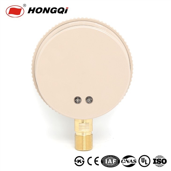 100mm Capsule Pressure Gauge