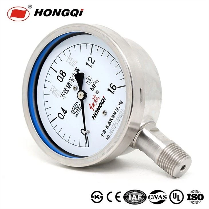 316 Stainless Steel Anti-Sulfur Pressure Gauge Bottom Connection