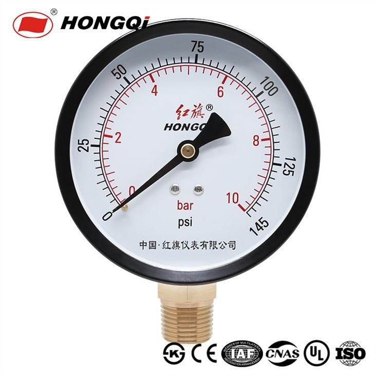 Hongqi 10bar/145psi Manometer