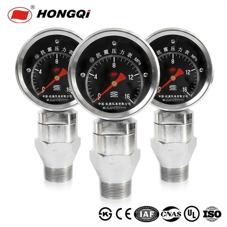 Vibration-resistant Slurry Pressure Gauge SS