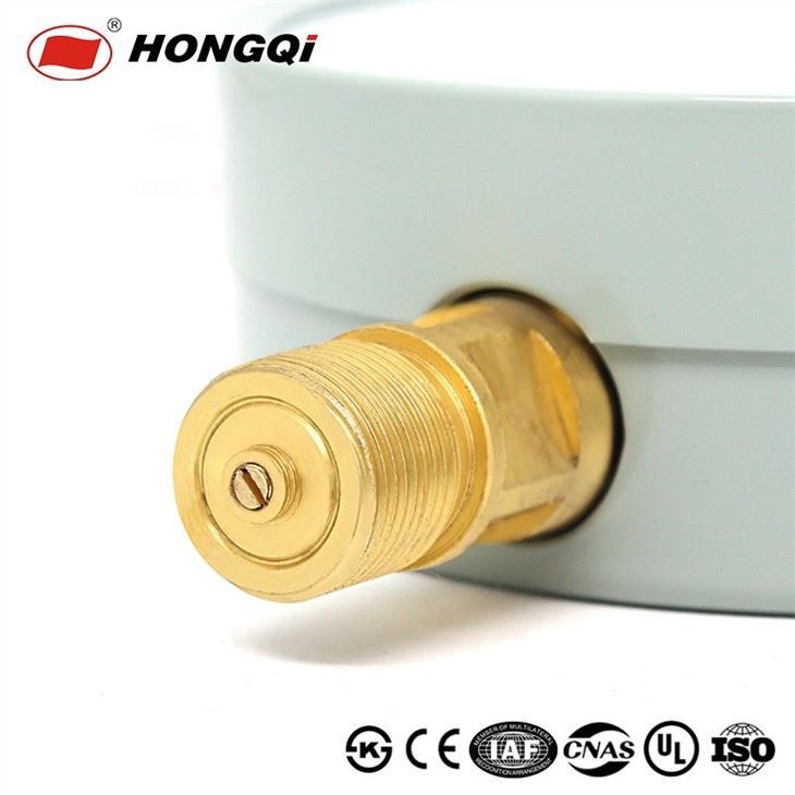 Hongqi 6