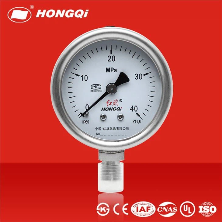Hongqi Y60bf Shockproof/ Anti-Corrosion High 304ss Pressure Gauge