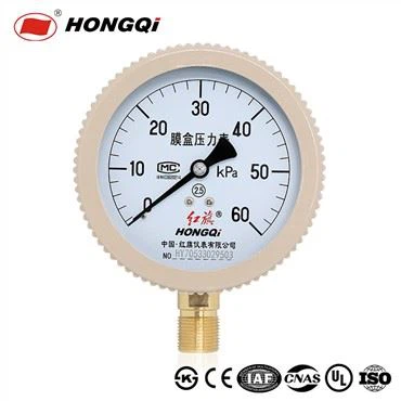 100mm Capsule Pressure Gauge Membrane Pressure Meter