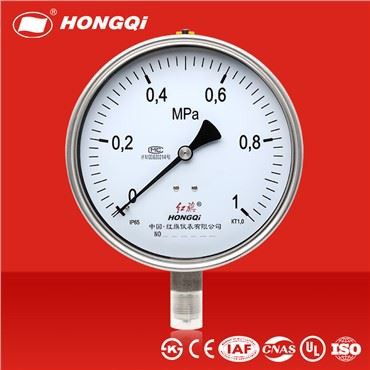 Steam pressure gauge ss316