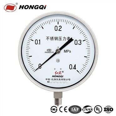 Hongqi 200mm Full Stainless Steel Pressure Gauge