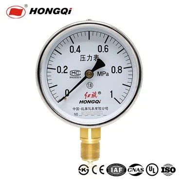 Hongqi 4 Inch Ecnomical Dry Electroplating Pressure Gauge
