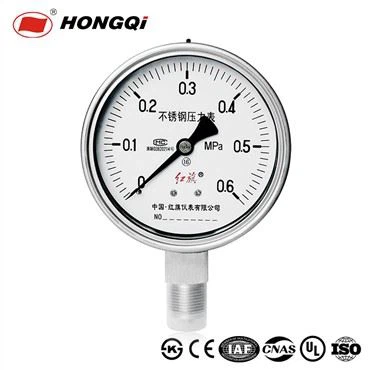 Hongqi YTQ-100BF Measuring Corrsive Media Anti-corrosive Stainless Steel Case