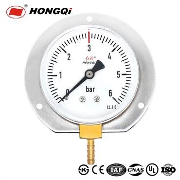 Spring Tube Pressure Gauge