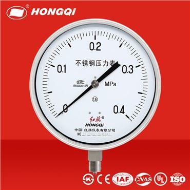 Y-200BF Stainless Steel Liquid Filled Pressure Gauge
