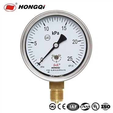 YE-100 Capsule Pressure Gauge With Anti-corrosive Character