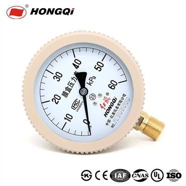 YE-100 Positive And Negative Pressure Capsule Pressure Gauge