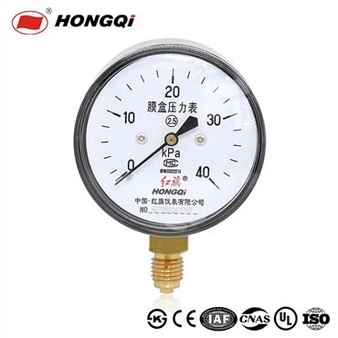 YE-60 Bottom Brass Connection Capsule Pressure Gauge