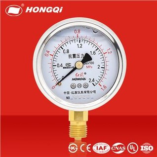YTN-60 Shockproof Stainless Steel Case Pressure Gauge