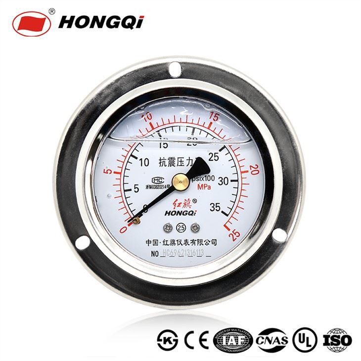 Stainless Steel Back Mount With Flange Pressure Gauge