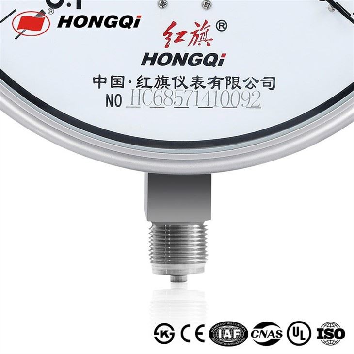 Stainless Steel Pressure Gauge With High Temperature Resistance