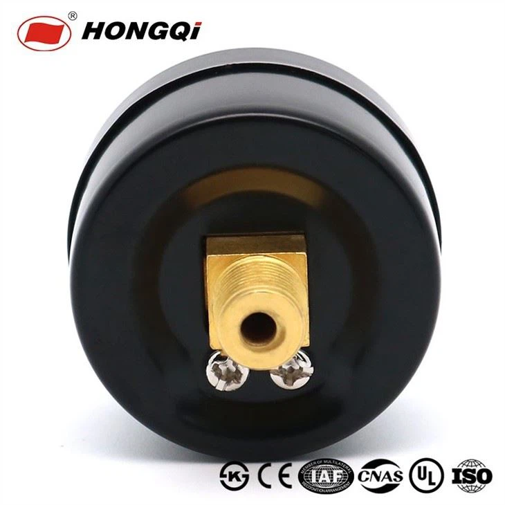 Hongqi is China's largest pressure gauge producer