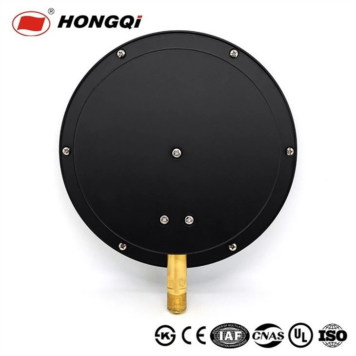 YB-200 High Quality Precision Bottom Pressure Gauge