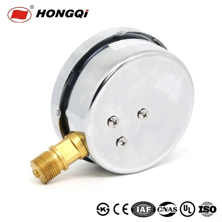 Ytn-100 Stainless Steel Liquid Filled Spring Pressure Gauge